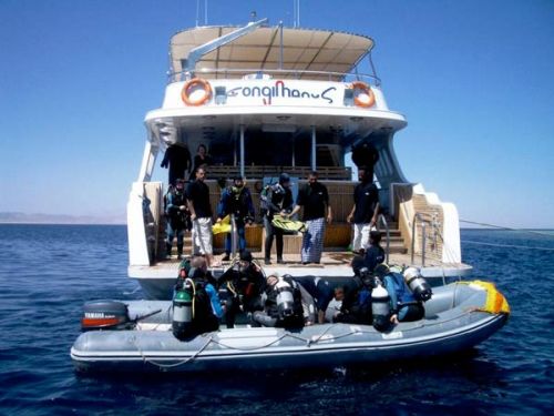 © copyright MY Longimanus