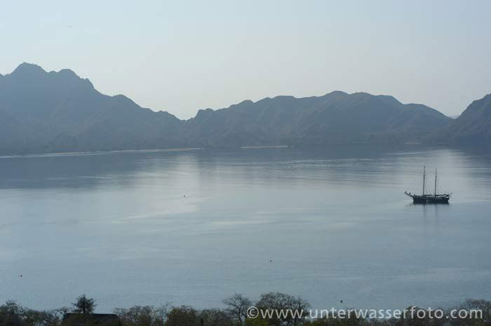 Günter Schindlmaier