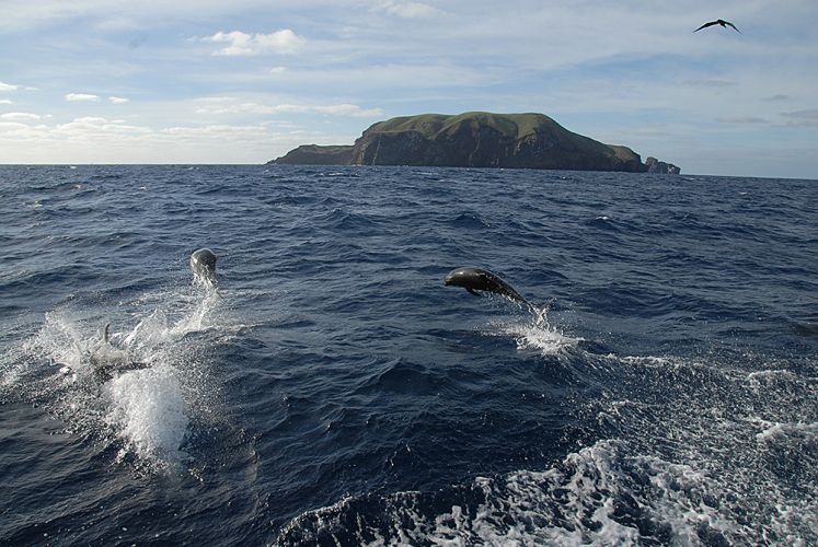 Günter Schindlmaier