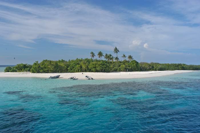 Günter Schindlmaier