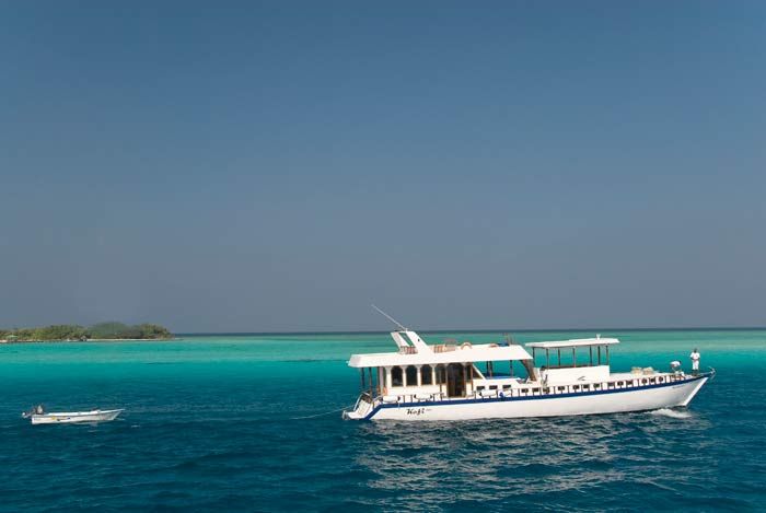 Günter Schindlmaier