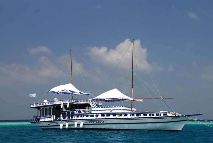 Günter Schindlmaier