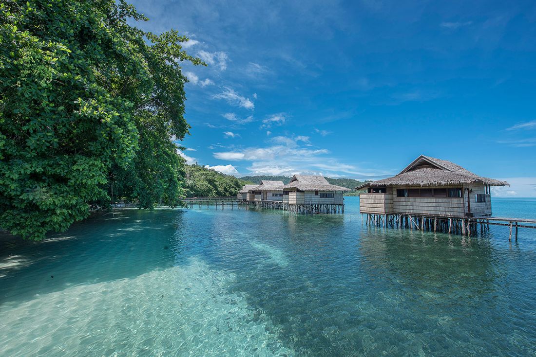 © copyright Papua Paradise-Eco Resort 