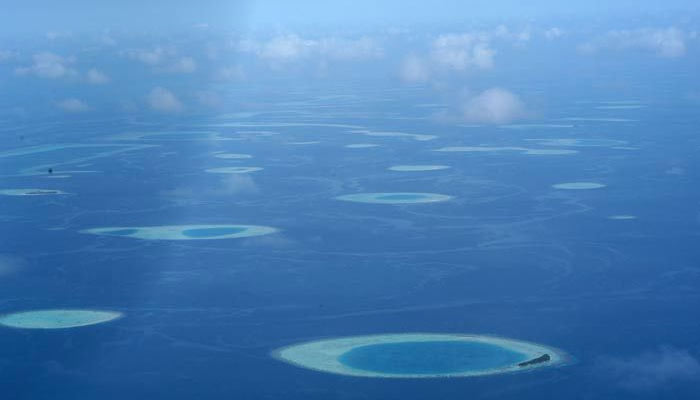Aquanaut Tauchreisen Malediven Tauchsafari