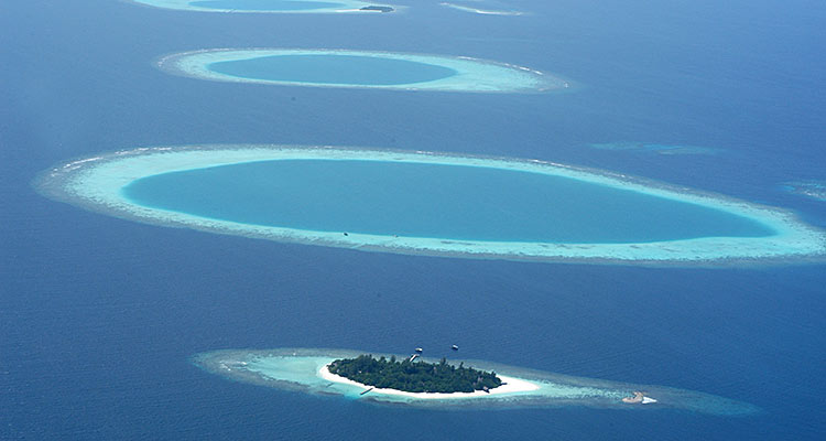 Aquanaut Tauchreisen Malediven Tauchsafari