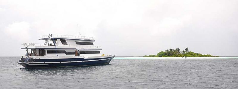© copyright www.maldivesboatclub.com 